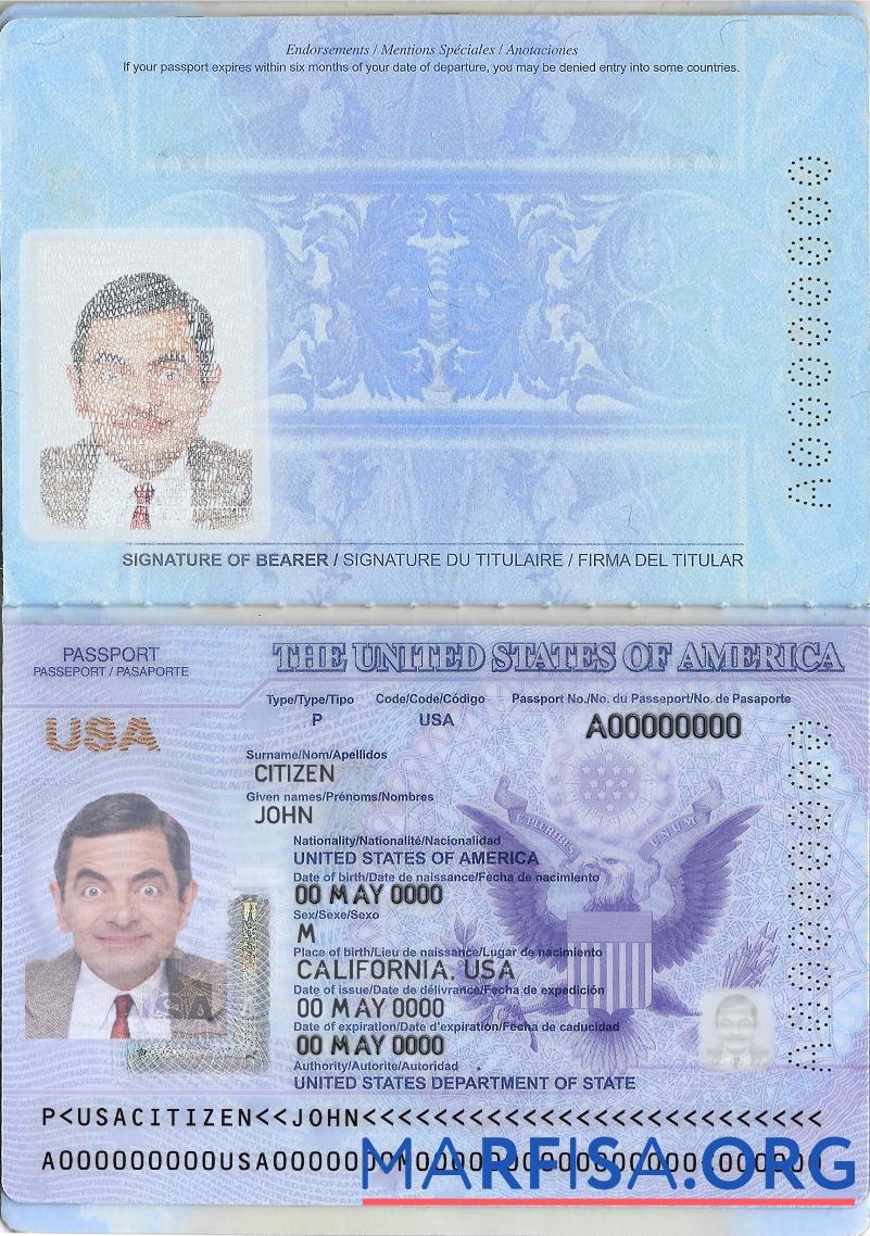 Printable USA passport new 2020 template